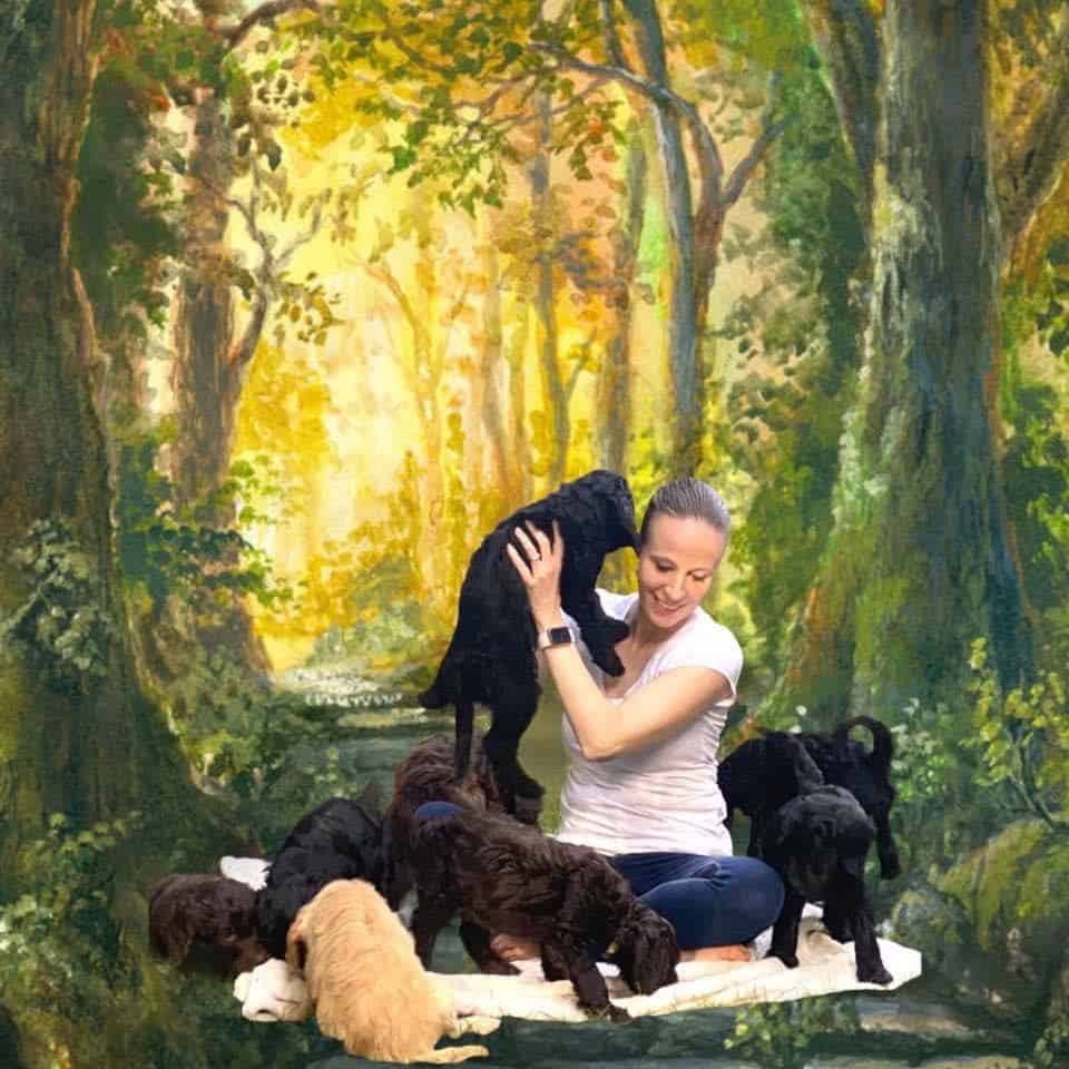 Ashlee Bassett with puppies - Petoskey Goldendoodles