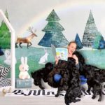 petoskey goldendoodles new crew litter